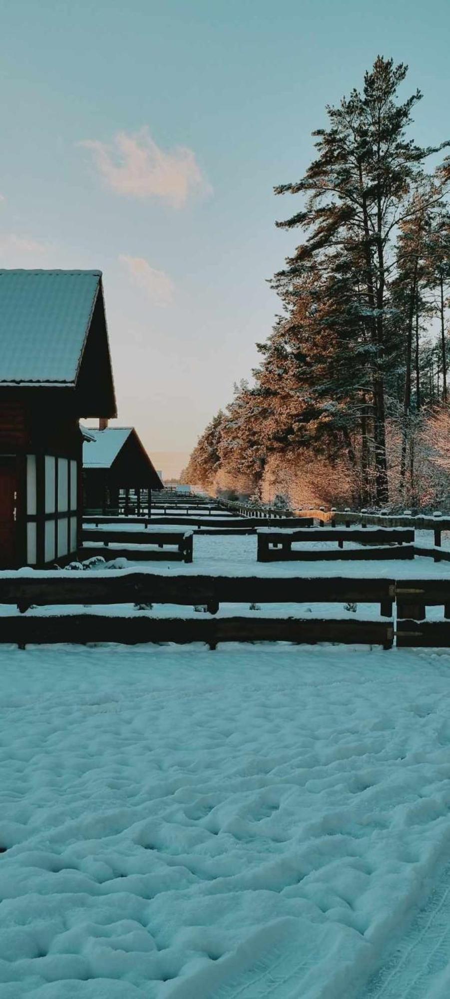 Ptasie Radio, Domek 48.2 Ostoja Bukowo Borowy Mlyn Exterior foto